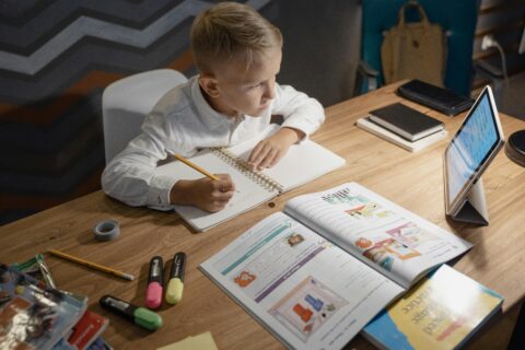 educazione digitale, disinformazione